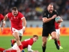 RWC2019_NZLvWAL_Bronce_0111a-15