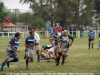 DSC09626_new