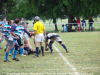 DSC09629_new