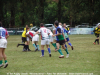 DSC09687_new