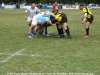 DSC09700_new