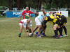 DSC09702_new