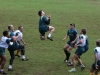 Wallaby-high-ball-drill