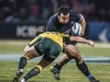 Argentina 9-34 Australia - RC 2015 - F2 - Mendoza