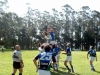 mar del plata rugby festival