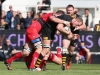 moHicanos_ECC2015_CF__Kearnan_Myall_Toulon_Wasps.jpg