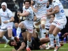moHicanos_ECC2015_CF__Maxime_Machenaud_Racing_v_Saracens.jpg