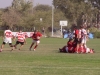 rugby jockey09 036