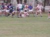 rugby jockey09 113