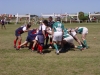 rugby mardel09 122