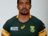 660x350_Rudy-Paige-South-Africa-RWC-2015-350x350