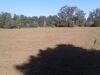 IMG-20150718-WA0013