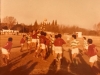 Taborin_v_Bajo