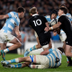Los Pumas tienen equipo