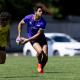 Actividad de Los Pumas