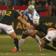 Los Pumas: Dignos Perdedores?