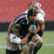Pampas XV 15-9 Golden Lions