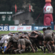 URBA, Resultados Top 14