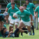 “Estamos enfocadísimos en el debut»