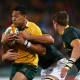 Wallabies confirmados