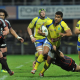 Clermont puntero