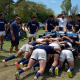 Actividad Pumitas M20
