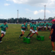 Actividad de Los Pumitas