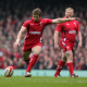 Halfpenny firmaría con Wasps