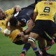Canes siguen firmes