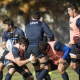 Actividad de Los Pumas