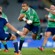 Highlanders sin problemas