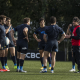 Actividad de Los Pumas