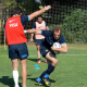 Actividad de Los Pumas