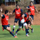 Actividad de Los Pumas
