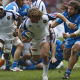 RWC, Test Matches Sep 19