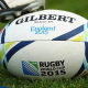 Planteles RWC 2015