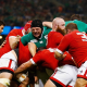 6N, Ross en duda