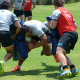 Actividad Jaguares