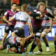 Sharks derroto a Toulon