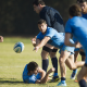 Pumas para Tucumán
