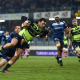 Empataron Castres y Leinster