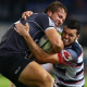 Sharks tiene plantel