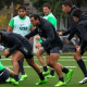 Actividad de Jaguares