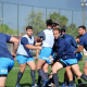 Actividad de Los Pumas