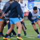 Actividad de Los Pumas