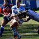 Triunfo de Argentina XV