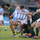 Los Pumas jugarán nuevamente en Argentina