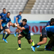 Actividad de Los Pumas