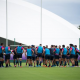 Actividad de Los Pumas