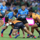 Brumbies con el pie derecho